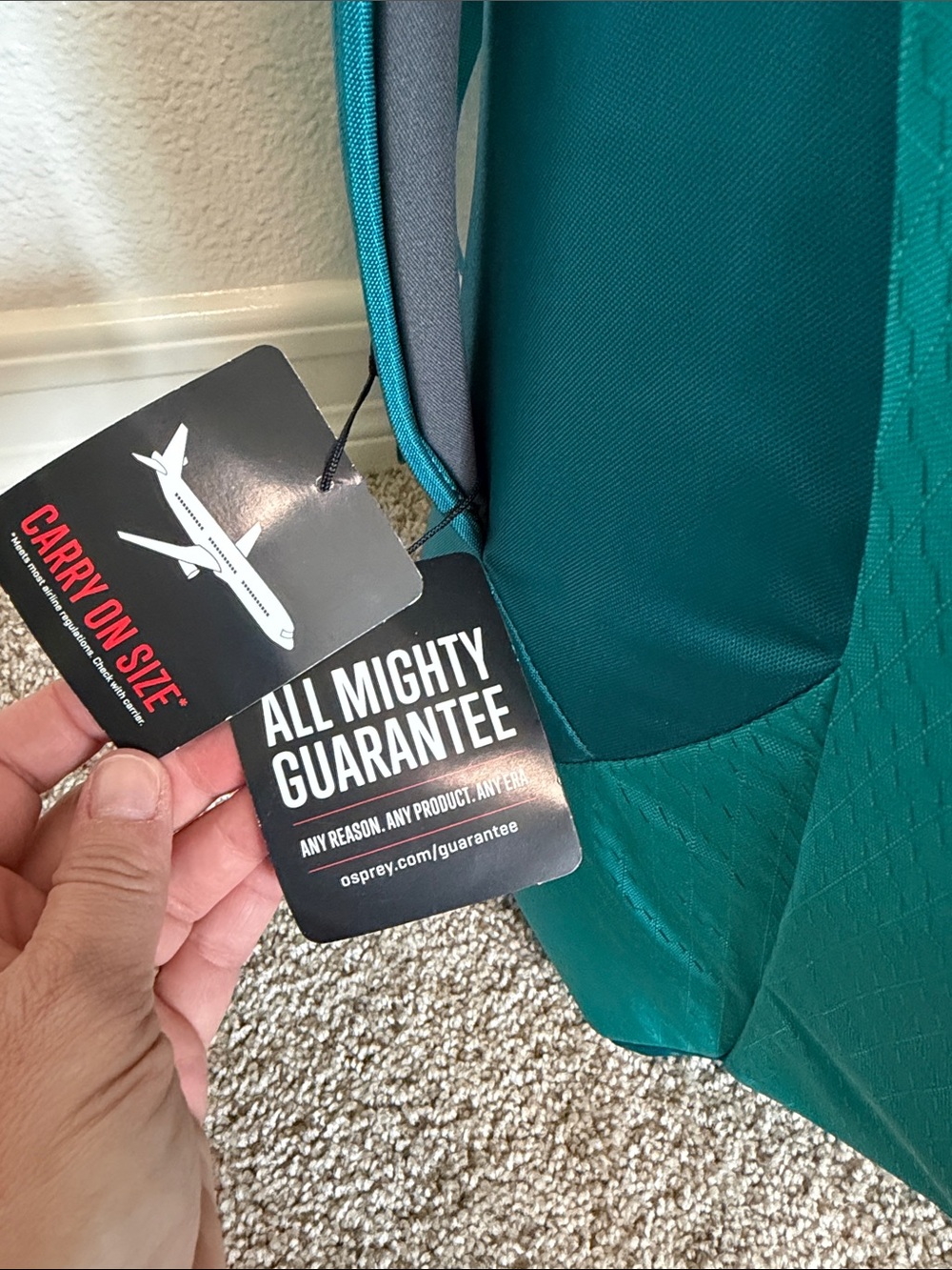 NWT OSPREY porter 46 Teal Travel Backpack - Picture 17 of 17